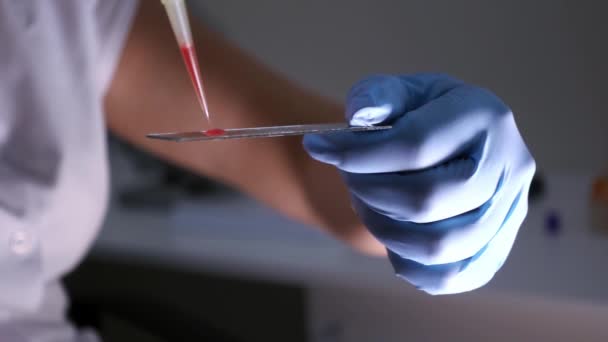 Bir dağıtıcı kullanarak laboratuvar asistanı araştırma için bir slayt üzerine kırmızı sıvı döker — Stok video
