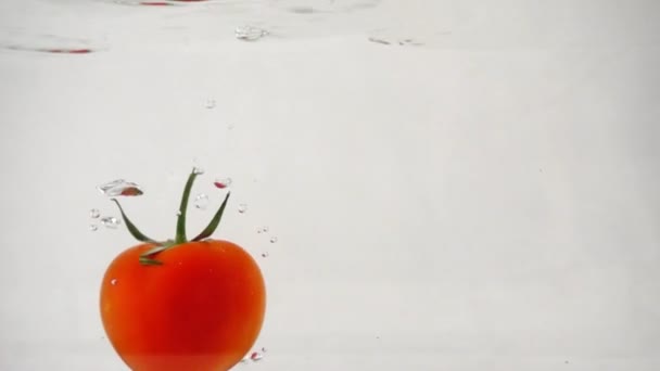 Un tomate rojo maduro con una ramita girando bajo el agua a la izquierda sobre un fondo blanco — Vídeos de Stock