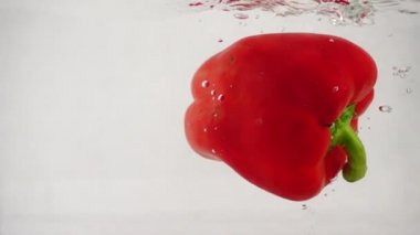 Taze kırmızı bir çan tatlı kırmızı biber suya düşer. Su damlaları ve kabarcıklarıyla.