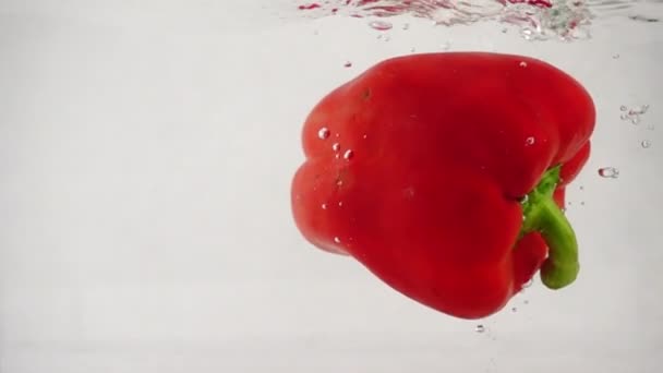 Ένα φρέσκο κόκκινο κουδούνι γλυκό πιπέρι πάπρικα πέφτει στο νερό δεξιά με πιτσιλιές και φυσαλίδες — Αρχείο Βίντεο