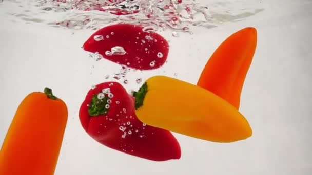 Veel verse veelkleurige paprika paprika zoete paprika valt in het water met spatten en bellen — Stockvideo