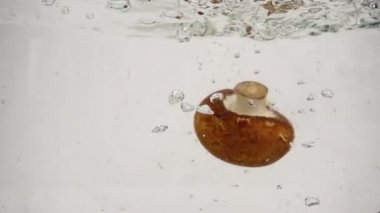 Üç mantar kahverengisi şampiyonu beyaz arka planda yavaşça kaynar suya batar.