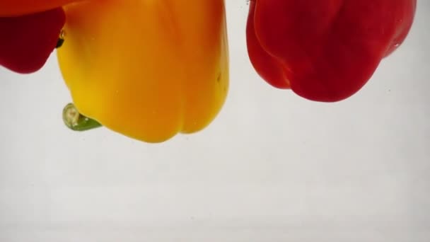 Coloridos pimientos dulces flotan en la superficie del agua sobre un fondo blanco — Vídeos de Stock