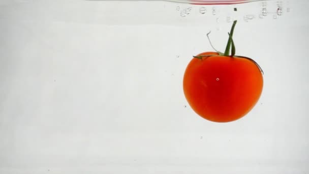 Jedno zralé červené rajče s větvičkou rotující pod vodou napravo bílé pozadí — Stock video