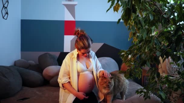 Молода вагітна жінка в білій сорочці з голим животом погладжує кота — стокове відео