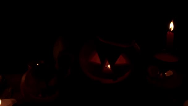 Diverse sagome scure di Jack la lanterna su uno sfondo nero tra le candele — Video Stock