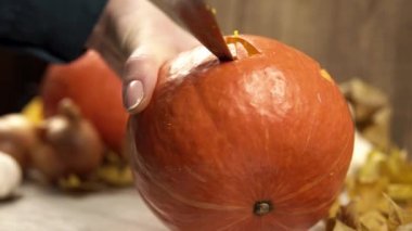 Kız elinde bir balkabağı tutuyor ve gözlerini oyuyor.