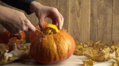 Kız elleri, fener yapmak için balkabağından sahte iç organları ve çekirdekleri çıkarır.