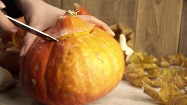 Meisjes handen afgesneden van de bovenkant van de pompoen om een lantaarn te maken voor Halloween — Stockvideo