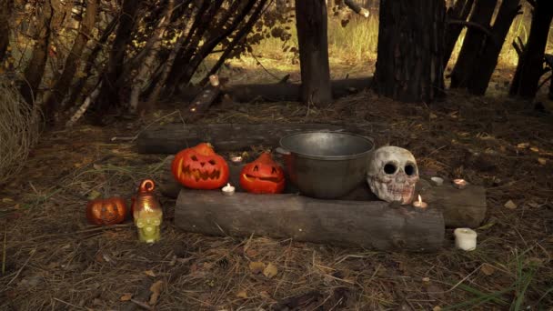 Rituele esoterische plek in het bos met kaarsen een schedel en een ketel — Stockvideo
