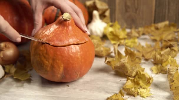 The girl cuts and takes away tje top of pumpkin to make the lantern — Stock Video