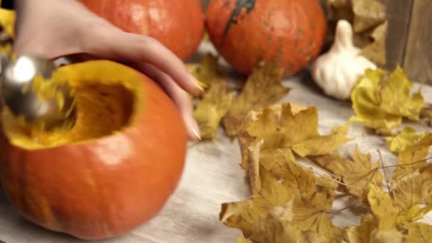 Flickan använder sked för att ta pumpa frön bort och visar att dess tomma — Stockvideo