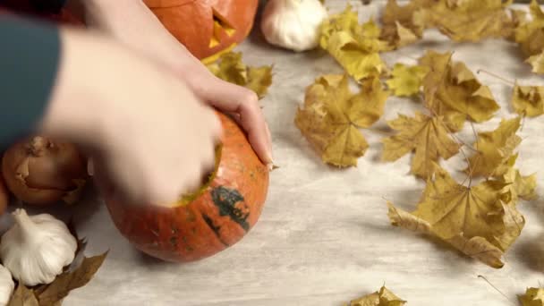 The girl uses spoon to remove seeds from pumpkin to make jack-o-lantern — Stock Video