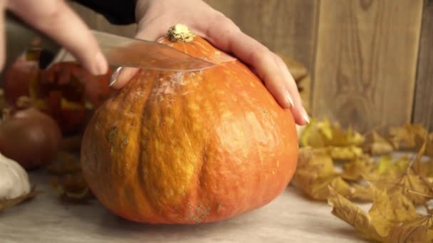 Mujer está sosteniendo la calabaza y haciendo cortes en su parte superior con el cuchillo — Vídeo de stock