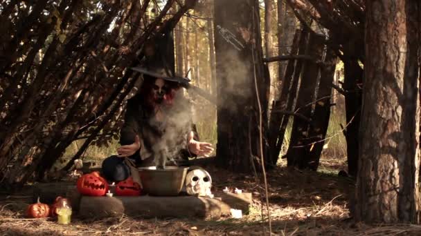 Ritual mágico na natureza feiticeira na fumaça câmera lenta — Vídeo de Stock
