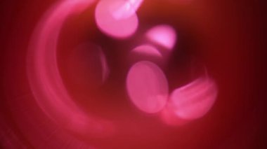 Film montajı için pembe ve turuncu lens geçişleri paketi