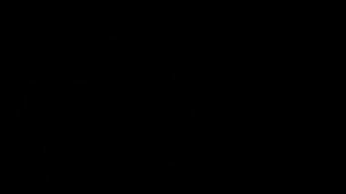 Film düzenleme için mercek parlamasının anamorfik renkli geçişleri