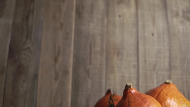 Stilleben tacksägelsedag semester grönsaker på en trä bakgrund — Stockvideo