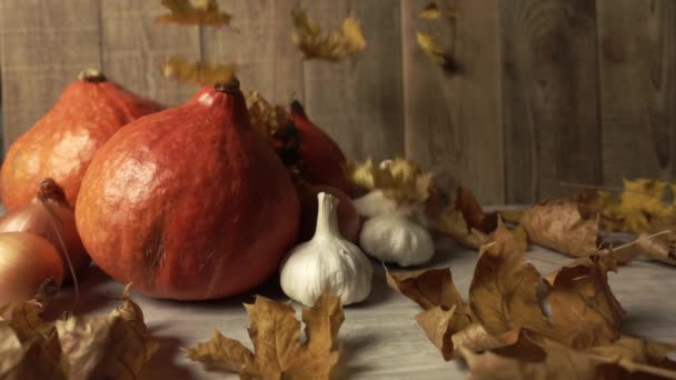 Folhas secas que caem em um outono ainda vida de verduras no movimento lento — Vídeo de Stock