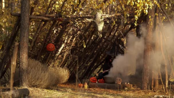 Le onde della strega consegnano il bollitore con il fumo seduto in una capanna di legno — Video Stock