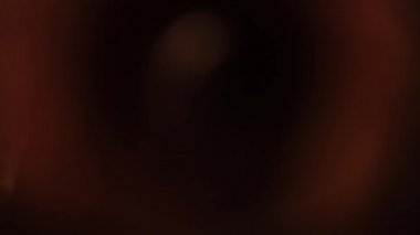 Turuncu ışık noktaları siyah arkaplanda belirir ve şekillerini değiştirir