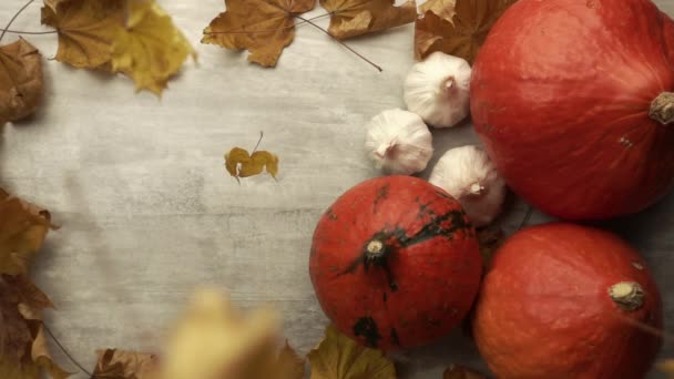 Hojas de arce seco están cayendo y aterrizando en las calabazas en la mesa de madera te — Vídeos de Stock