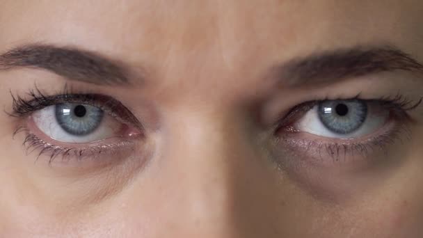 Femme aux yeux bleus regarde dans la caméra et clignote quelques fois — Video