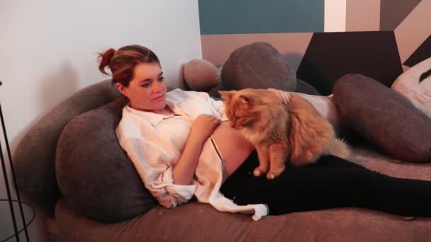 赤い猫は彼の妊娠中の所有者の女性の足をこねている彼女は彼をペット — ストック動画