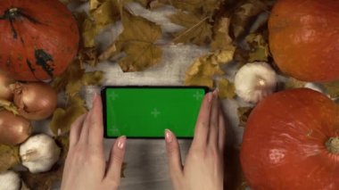 Bayan sonbahar kompozisyonunun ortasında yatay yönelime yeşil ekran akıllı telefon koyar