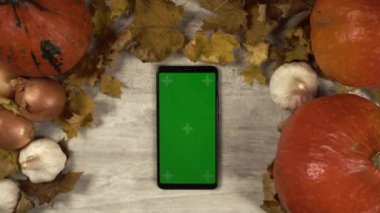 Bir bayan sonbahar kompozisyonunun ortasında dikey hizaya yeşil ekran akıllı telefon koyar