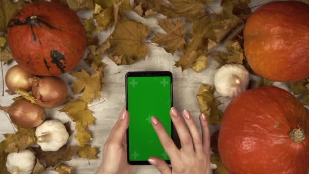 가을 장식의 한 가운데 수직 방향으로 녹색 화면 스마트폰을 클릭하는 여성 — 비디오