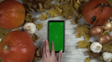 Jest ayarlı akıllı telefon dikey yönelim sonbahar kompozisyonu ve kadın eli