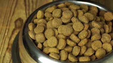 Kara köpek doberman kasedeki kuru yiyecekleri yiyor. Yakından.