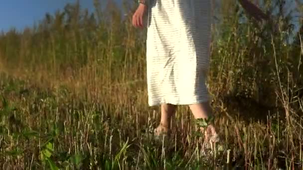 흰옷을 입은 젊은 코카서스 여성이 느림보의 풀을 만진 여름 목초지를 걷고 있다 — 비디오