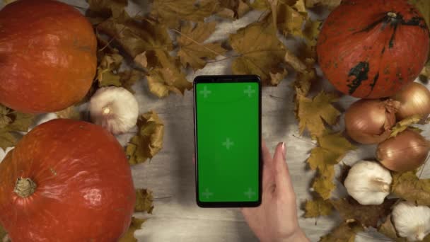 Νεαρή γυναίκα πατάει σε greenscreen κινητό τηλέφωνο σε κάθετο προσανατολισμό σε φθινοπωρινή διακοσμητική σύνθεση — Αρχείο Βίντεο