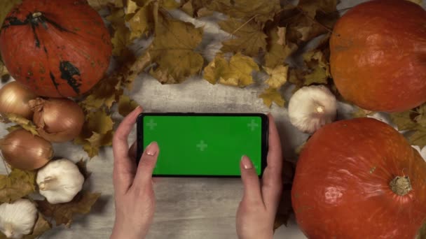 Lady play game on a greenscreen phone in horizontal orientation in fall decorative composition — Stock Video