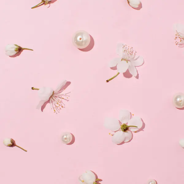 Fruit in bloom, isolated flowers and pearls on a pastel pink background, spring floral wallpaper.