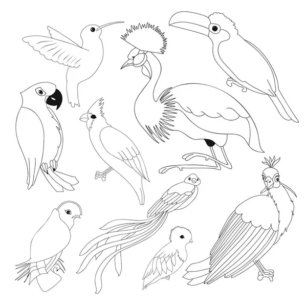 Große Gruppe exotischer Vögel — Stockvektor