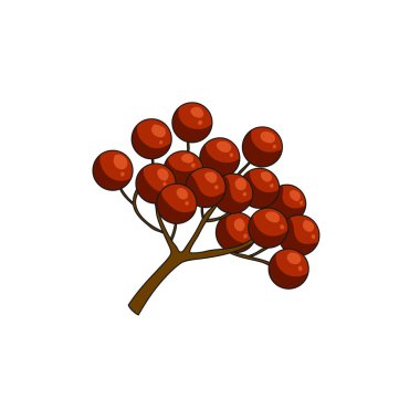 kartopu çilek simgesi