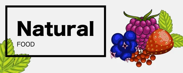 Natural green food web banner — Stock Vector