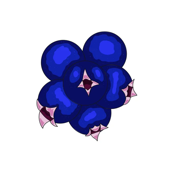蓝莓浆果图标 — 图库矢量图片
