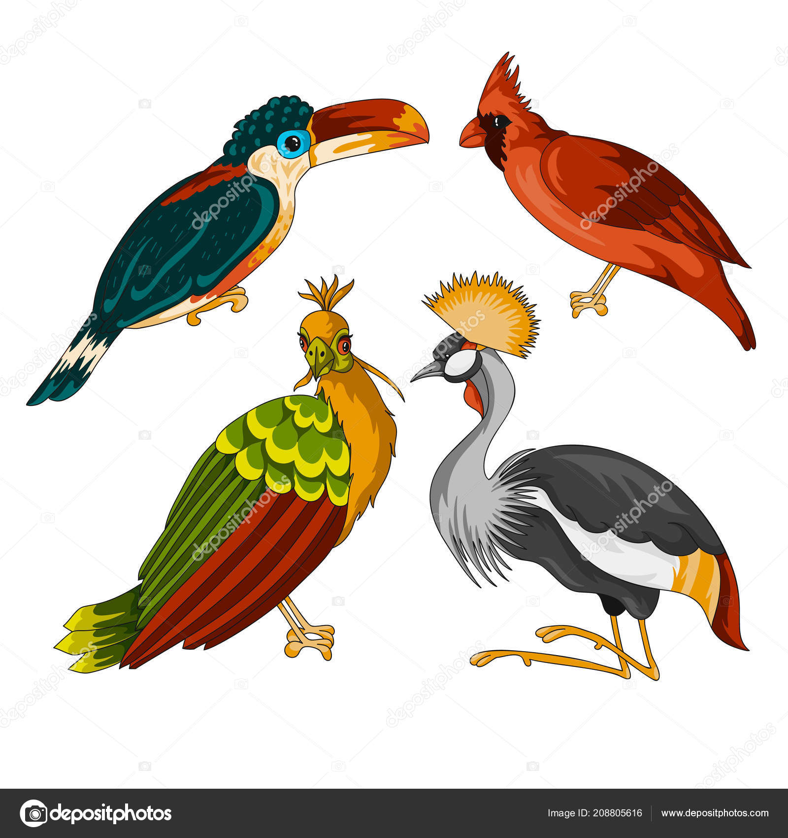 Ensemble Doiseaux Exotiques Image Vectorielle Levinanas