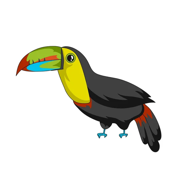 Toucan Exotische Vogel Pictogram Cartoon Vectorillustratie Met Lijn Wit Wordt — Stockvector