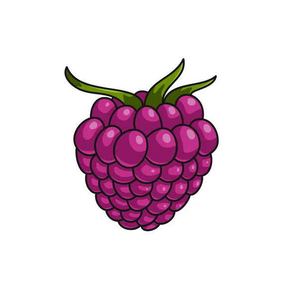 Framboise Avec Des Feuilles Style Dessin Animé Avec Trait Illustration — Image vectorielle