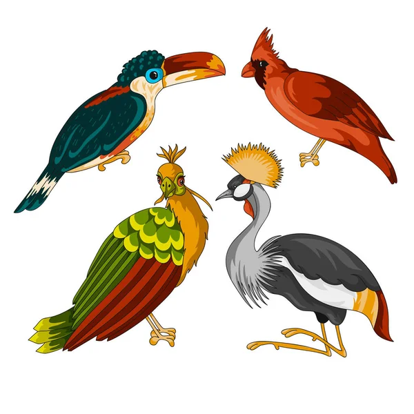 Exotische Vögel Mit Kakadu Roter Kardinal Cartoon Vektor Illustration Mit — Stockvektor