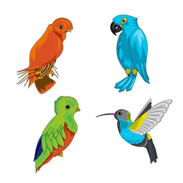 Uppsättning Exotiska Fåglar Med Ara Papegoja Tecknade Vektorillustration Med Stroke — Stock vektor