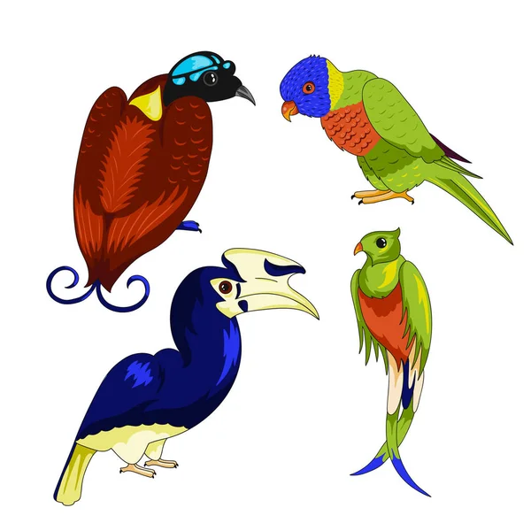 Set Exotic Birds Parrot Cartoon Vector Illustration Stroke Isolated White — Stock Vector