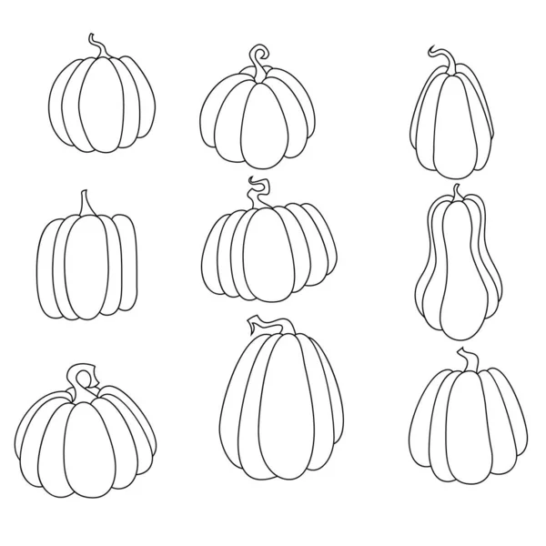 Línea de dibujos animados vector calabaza conjunto. — Vector de stock