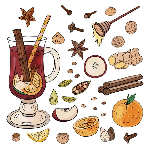 Mulled şarap çizilmiş. Malzemeler ve baharat için beyaz bir arka plan üzerinde mulled şarap. 