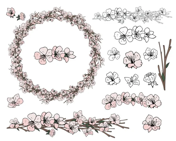 Krans Van Apple Lentebloemen Witte Achtergrond — Stockvector